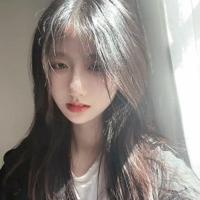 兔年 封面